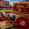 PREMIUM SLVC UNISEX SUNGLASSES NPL
