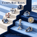 TPBR Silver Charm Set TTTT